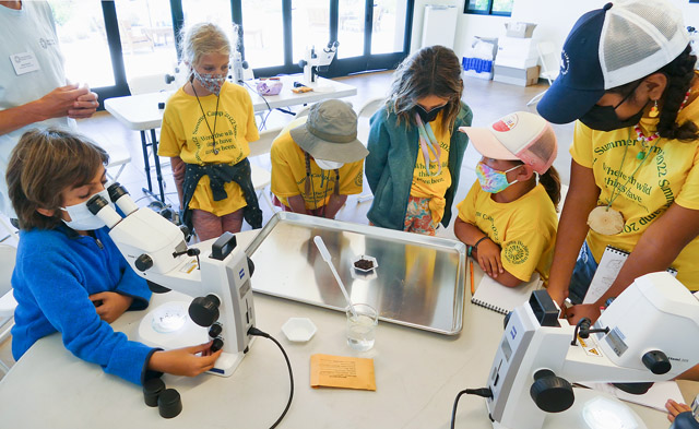 Summer Camp at Santa Barbara Botanic Garden looking through microscopes