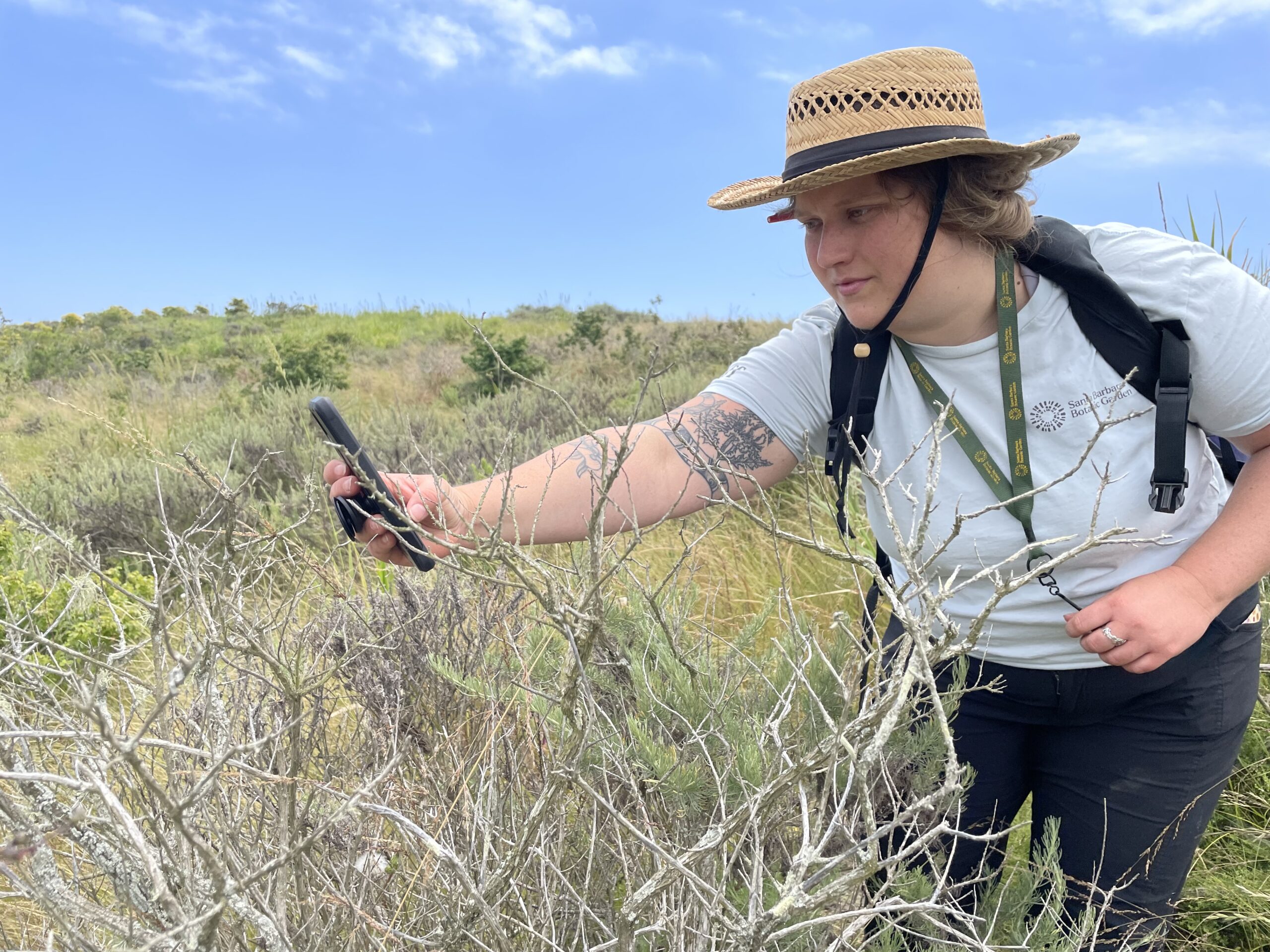 Girl in straw hat taking photo of native plant with her iphone at Elings Park in Santa Barbara, CA